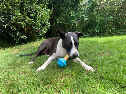 Pearlies Chew Holder